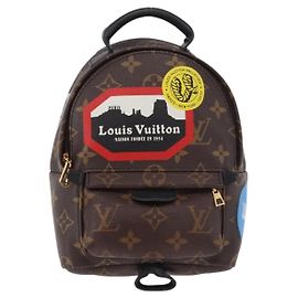 Louis Vuitton Palm Springs Limited Mini Marrom