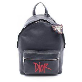 Christian Dior Dior x Shawn Stussy RIDER Backpack Navy blue