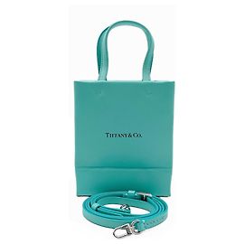 Mini borsa Tiffany & Co. Blu Altro