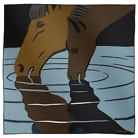 Hermès Sciarpa Waterfoal Multicolore