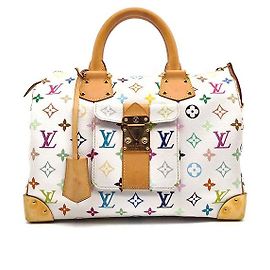 Louis Vuitton Multi Speedy Multicolor