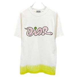 Dior Cotton Logo T-Shirt Silber