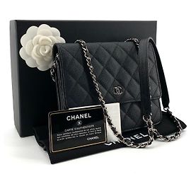 Chanel Mini borsa a tracolla WOC in caviar opaco argento Argento