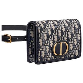 Dior Pochette deux-en-un Montaigne Multicolore
