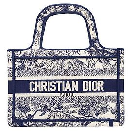 Dior Mini borsa tote Book Multicolore