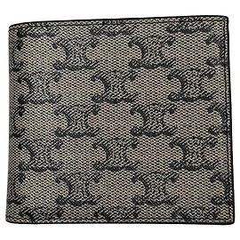 Céline Cartera de piel de becerro y lona Triomphe Plata