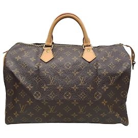 Louis Vuitton Monogram Canvas Speedy Tote Bag Brown