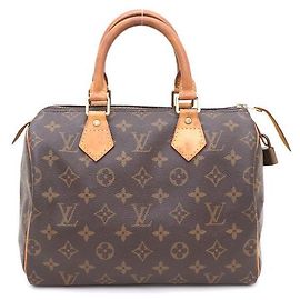 Louis Vuitton Bolso Tote Speedy en Canvas Monogram Multicolor