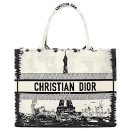 Dior White Medium Embroidered Canvas Eiffel Tower Book Tote White