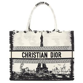Dior Book Tote aus bestickter Leinwand weiß Größe Medium Eiffelturm Weiß