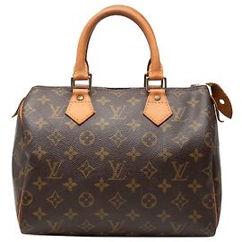 Louis Vuitton Marron Monogram Speedy 25 Marron