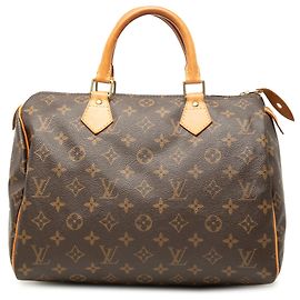 Louis Vuitton Marrone Monogram Speedy 30 Marrone