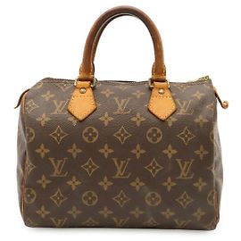 Louis Vuitton Speedy Monogram Handbag Brown