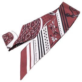 Hermès Pañuelo Twilly de seda Hermes Festival des Amazones Otro