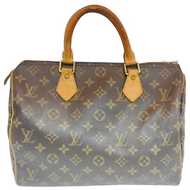 Louis Vuitton Monogram Speedy Tote Bag Braun