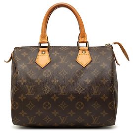 Louis Vuitton Marrom Monogram Speedy 25 Marrom