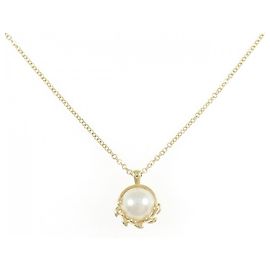 Tiffany & Co Collar Tiffany Olive Leaf en oro amarillo de 18K Otro
