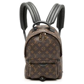 Brown Louis Vuitton Monogram Palm Springs PM Backpack Brown
