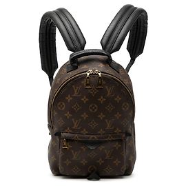 Brown Louis Vuitton Monogram Palm Springs PM Backpack Brown