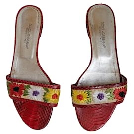 Dolce & Gabbana Python-Mules in Rot mit Blumen Rot Mehrfarben