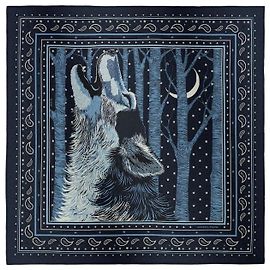 Hermès Sciarpa Bandana Blu