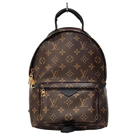 Louis Vuitton Palm Springs Backpack PM Brown