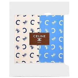 Céline Square Silk Twill Off White Blue Sky Blue