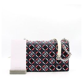 Borsa a tracolla Diorama Silver Chain Edizione Limitata Multicolore