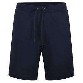 Ralph Lauren Embroidered Pony Logo Shorts Blue