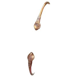 Pomellato Bracelet rigide ouvert avec pierres Doré