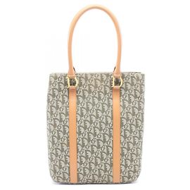 Sac cabas Christian Dior Dior Trotter Beige Vert