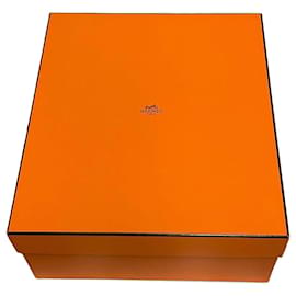 Hermès Kelly picnic Kelly précieux box Orange Dark blue