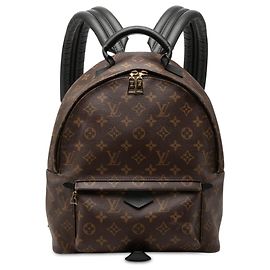 Louis Vuitton Brown Monogram Palm Springs MM Marrom