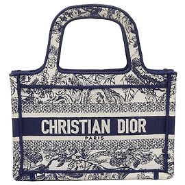 Dior Tuileries Mini Book Tote Blu
