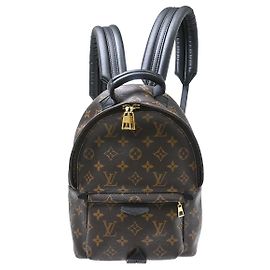 Louis Vuitton Palm Springs Monogram PM Braun