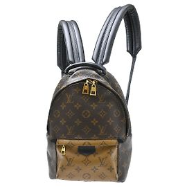 Louis Vuitton Palm Springs Monogram PM Marrom