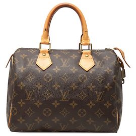 Louis Vuitton Brown Monogram Speedy 25 Marrone