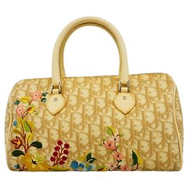 Borsa Christian Dior Trotter Beige