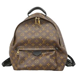 Louis Vuitton Monogram Palm Springs Backpack MM Brown