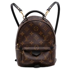 Louis Vuitton Brown Monogram Mini Palm Springs Brown