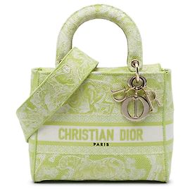 Dior Green Medium Embroidered Canvas Toile de Jouy Lady D Lite D'oro Verde