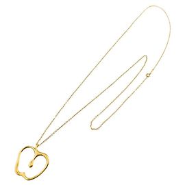 Tiffany & Co. Collier Long Apple Large Autre