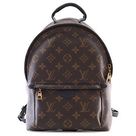 Louis Vuitton Brown Monogram Palm Springs PM Brown