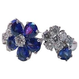 Van Cleef & Arpels Folie des Prés Rings Multiple colors