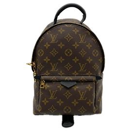 Louis Vuitton Monogram Palm Springs Rucksack PM Braun Schwarz Beige