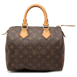 Louis Vuitton Brown Monogram Speedy 25 Braun