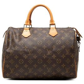 Louis Vuitton Brown Monogram Speedy 30 Brown