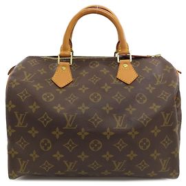 Louis Vuitton Speedy 30 Boston Bag Monogram