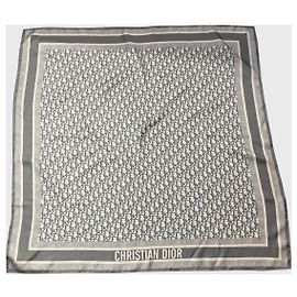 Autre Marque Pañuelo Christian Dior twin azul gris Gris