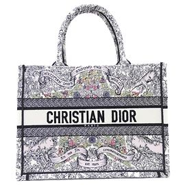 Christian Dior DIOR AROUND THE WORLD Book Tote Multicolore